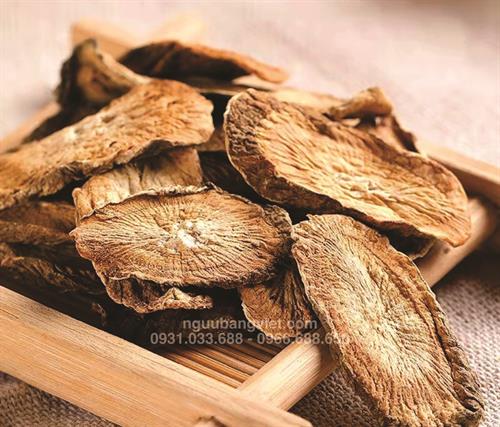 Ngưu bàng khô sấy lạnh Hữu Cơ