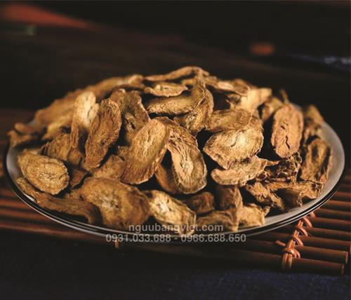 Ngưu bàng khô sấy lạnh Hữu Cơ