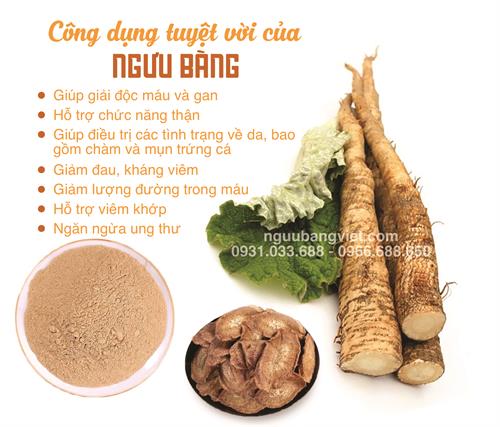 Ngưu bàng khô sấy lạnh Hữu Cơ