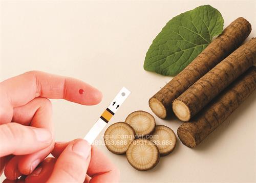 Củ ngưu bàng có dùng cho người bị tiểu đường không?