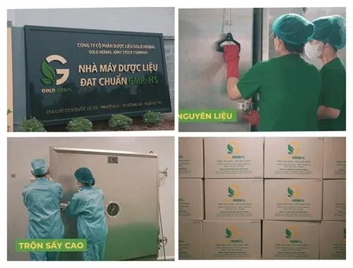 Công nghệ chiết xuất chân không EECV: Bước đột phá trong bào chế dược liệu