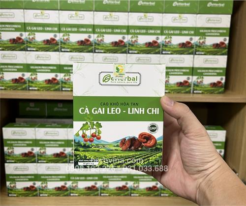 Cao khô hòa tan Cà gai leo Linh chi