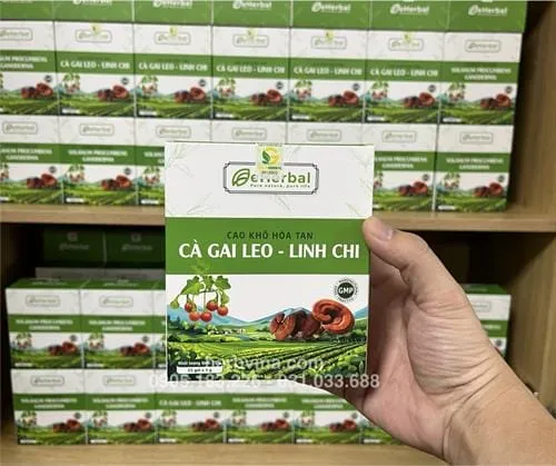 Cao khô hòa tan Cà gai leo Linh chi