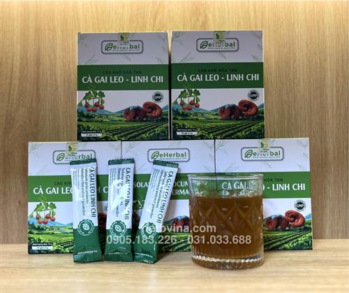 Cao khô hòa tan Cà gai leo Linh chi