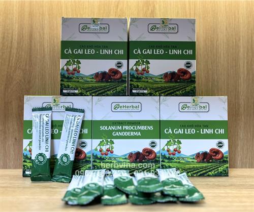 Cao khô hòa tan Cà gai leo Linh chi