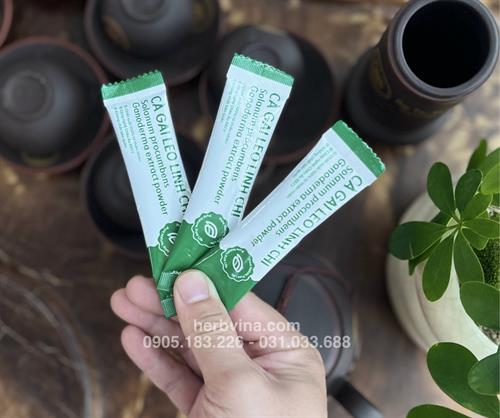 Cao khô hòa tan Cà gai leo Linh chi