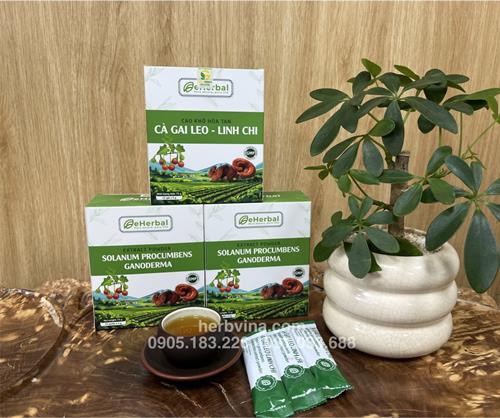 Cao khô hòa tan Cà gai leo Linh chi