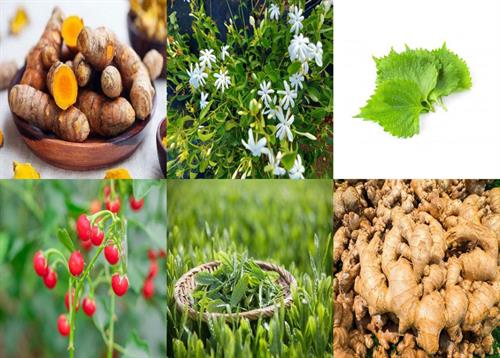 Những lưu ý khi mua cao thảo dược hòa tan