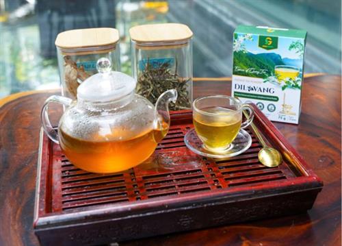 Các dạng cao thảo dược phổ biến hiện nay: Giải pháp sức khỏe từ thiên nhiên 