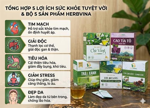 Uống trà thảo mộc có tác dụng gì? Lưu ý quan trọng khi sử dụng Dược Liệu Thô & Cao Khô Hòa Tan