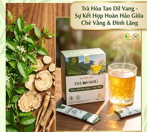 Trà hòa tan Dil Vang: Tinh hoa Chè Vằng và Đinh Lăng