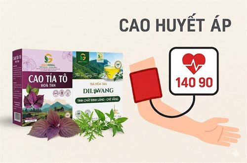 Người cao huyết áp nên sử dụng thảo dược gì để bồi bổ sức khỏe an toàn?