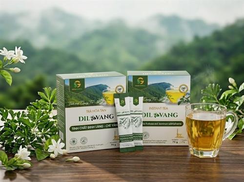 Trà hòa tan Dil Vang phù hợp với ai? 4 nhóm người nên sử dụng để bồi bổ sức khỏe toàn diện