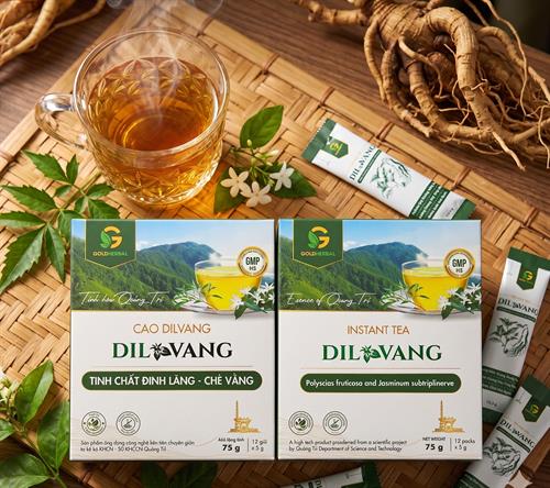 Saponin trong đinh lăng là gì? Bí quyết bồi bổ sinh lực và ứng dụng trong trà Dil Vang