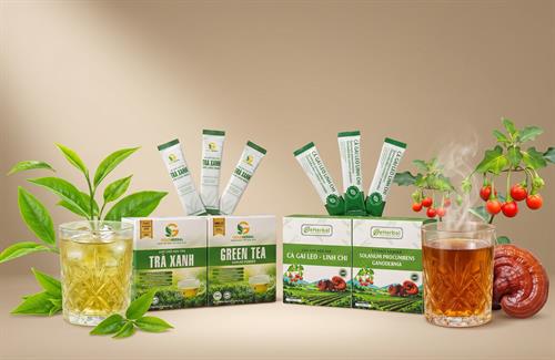 Hoạt chất Polyphenol là gì? “Lá chắn” chống lão hóa và bảo vệ tế bào trong trà xanh và cà gai leo