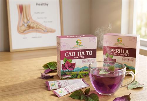 Bệnh Gout(gút) cần kiêng gì? Giải pháp kiếm soát Acid Uric an toàn bằng cao tía tô hòa tan