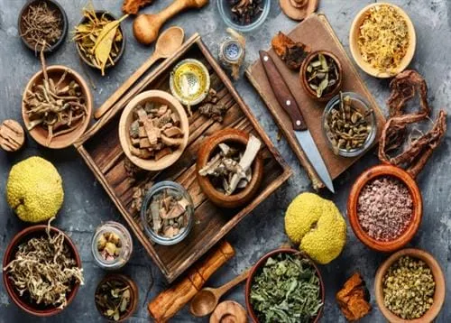 Cao thảo dược có tác dụng gì?