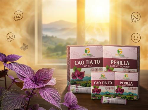 Khổ sở vì viêm mũi dị ứng, hắt hơi liên tục lúc giao mùa: Kháng Histamin tự nhiên từ Cao khô hòa tan Tía tô