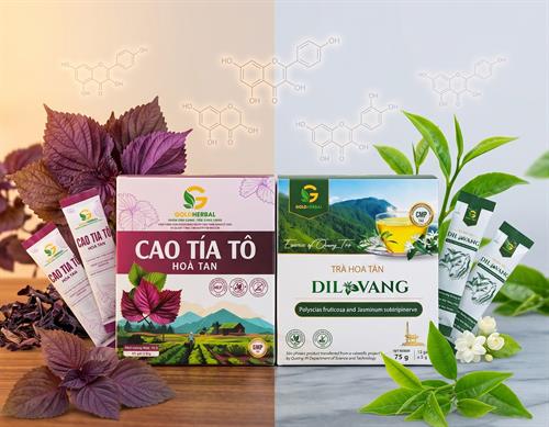 Hoạt chất Flavonoid là gì? “Vệ sĩ ”bảo vệ tế bào trong cao tía tô và cao trà xanh Gold HerBal