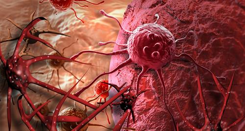 Người bệnh ung thư nên dùng thảo dược gì để hỗ trợ phục hồi sức khỏe?