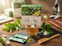 Cây chè vằng là gì? Đột phá tiện ích từ cao khô hòa tan
